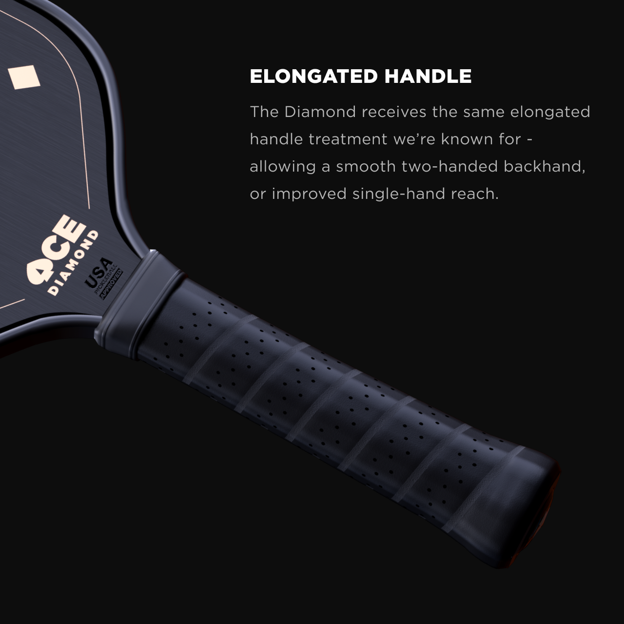 ACE PADDLE PICKLEBALL visual data 4